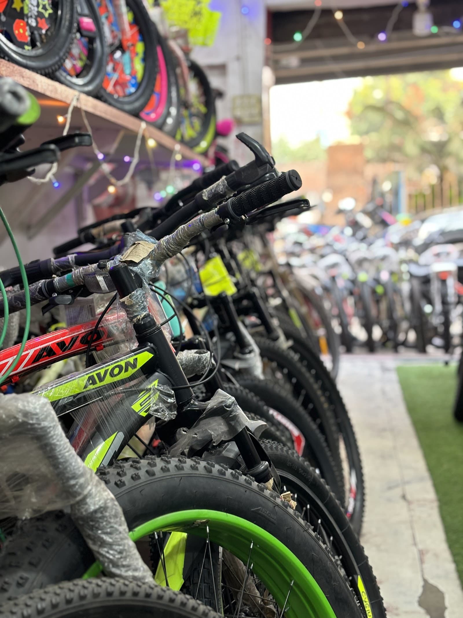 Bicycles arranged in a premium showroom