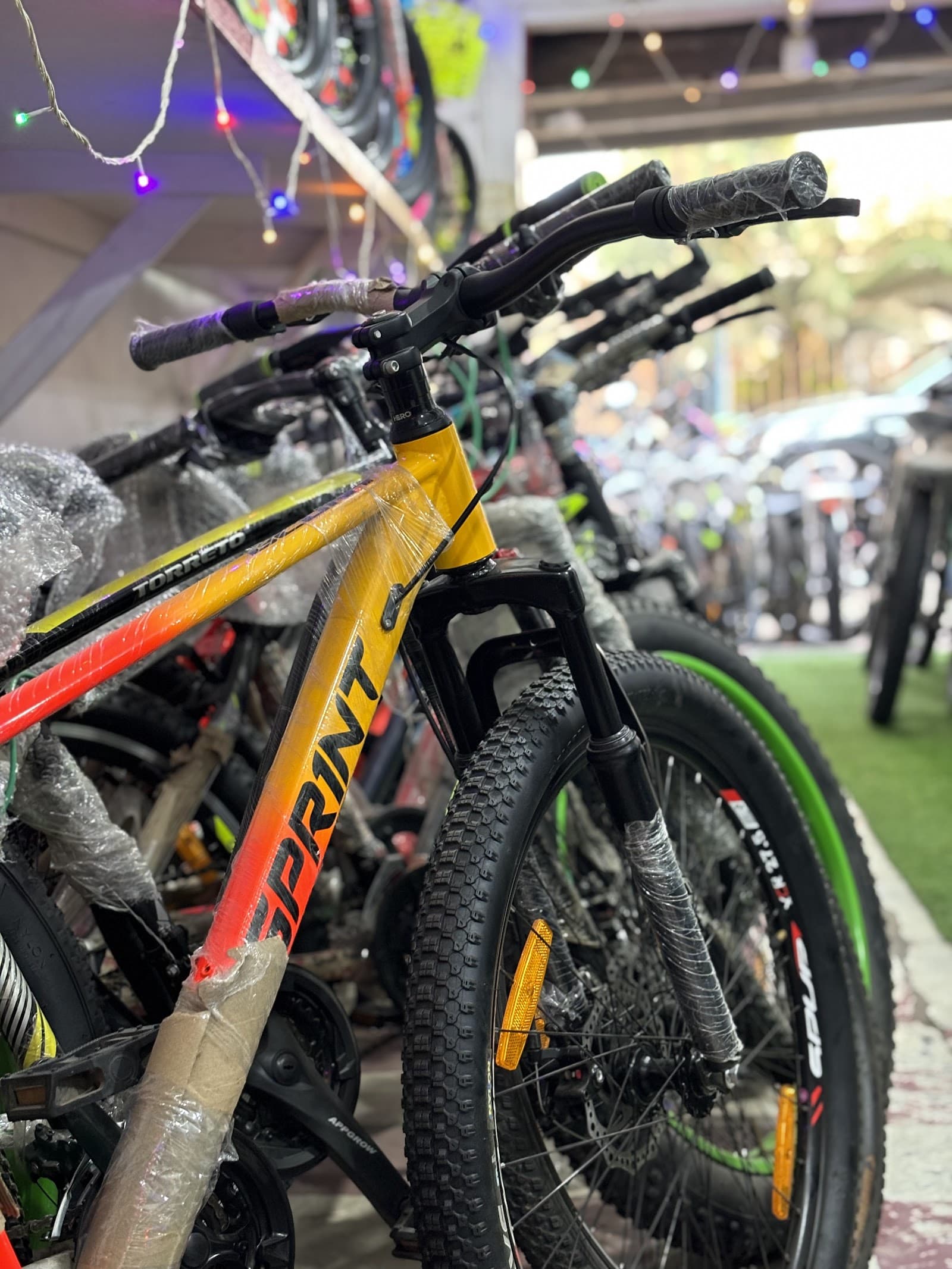 Premium bicycles display inside showroom